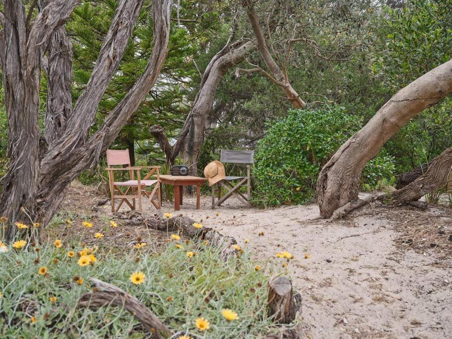 Warraburra Beach Shack, Rosebud - Entire House And Your Own Private Beach Box! Villa Eksteriør billede